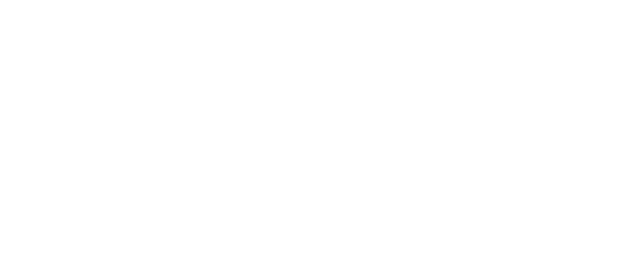 Healwise International